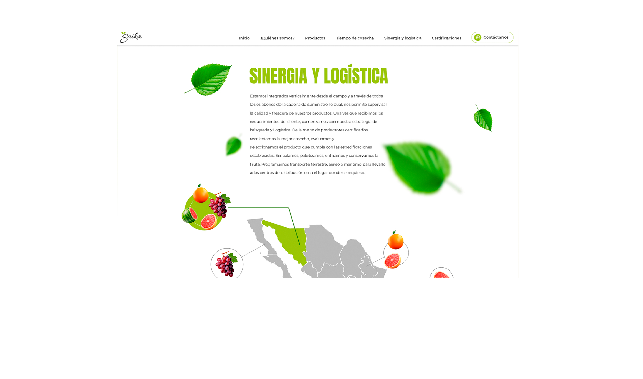 Sinergia y logística Saika Fruits